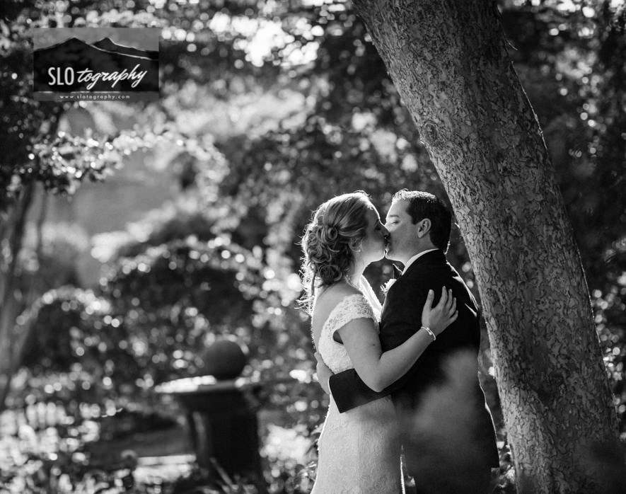 Bride & Groom Kiss Beneath the Tree in the Garden