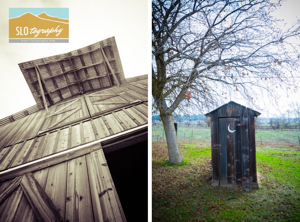 The Barn & The Outhouse