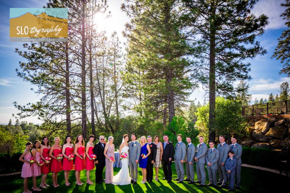 The Wedding Party in the Pines