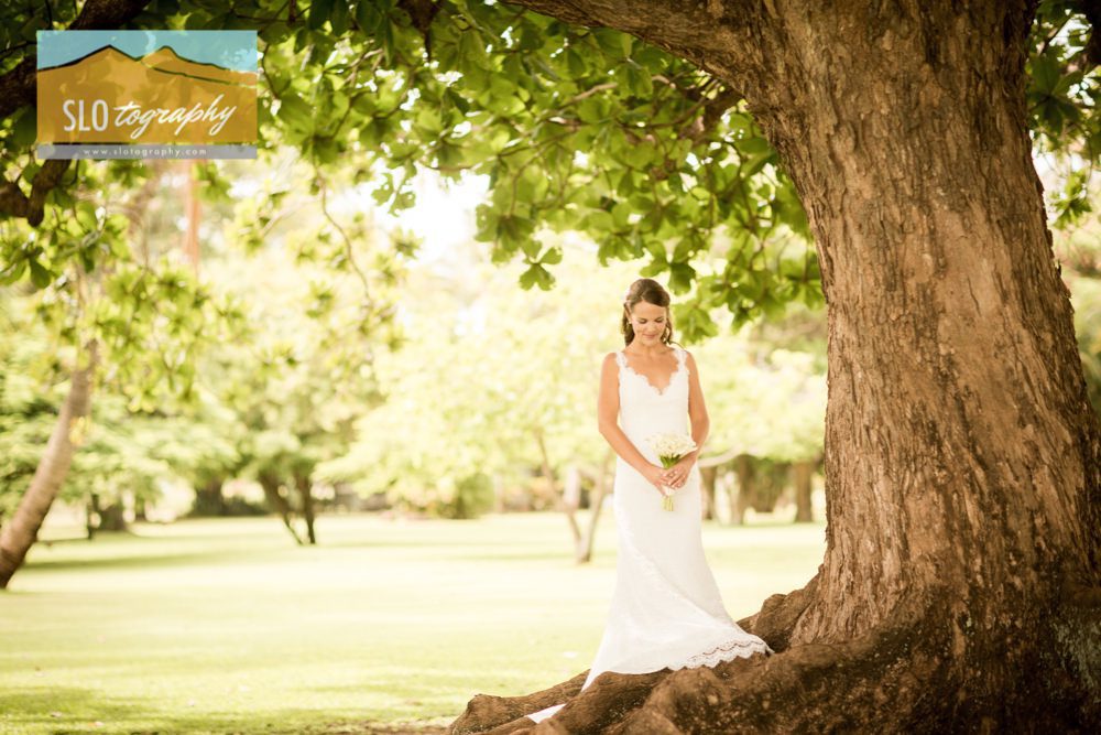 bride with calla lily bouquet underneath banyan tree