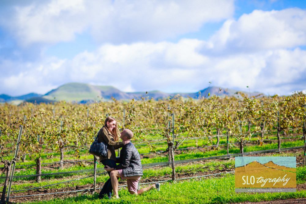 Proposal Photo Shoot Down on One Knee in Vineyard
