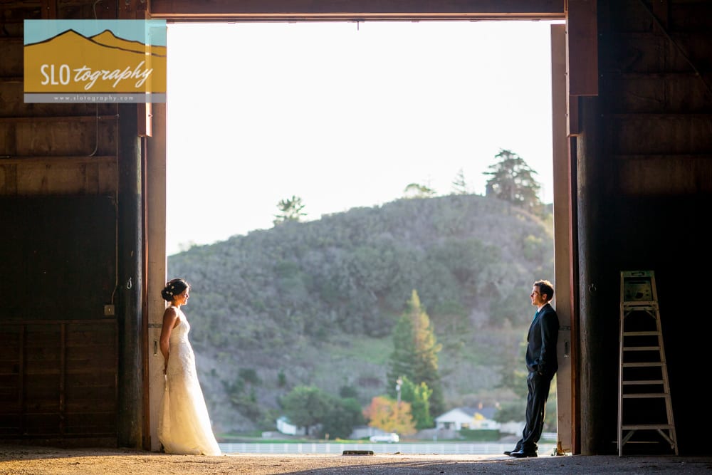 bride and groom in the barn door opening