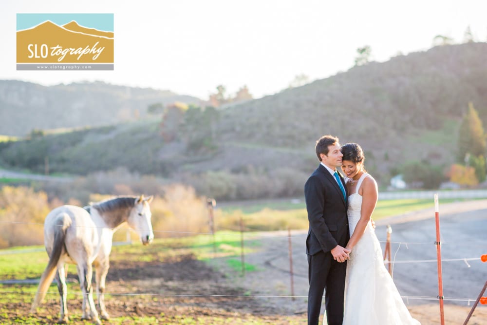 bride and groom in the pasture with white horse