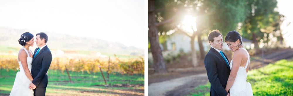 bride and groom portraits in the vineyard at greengate