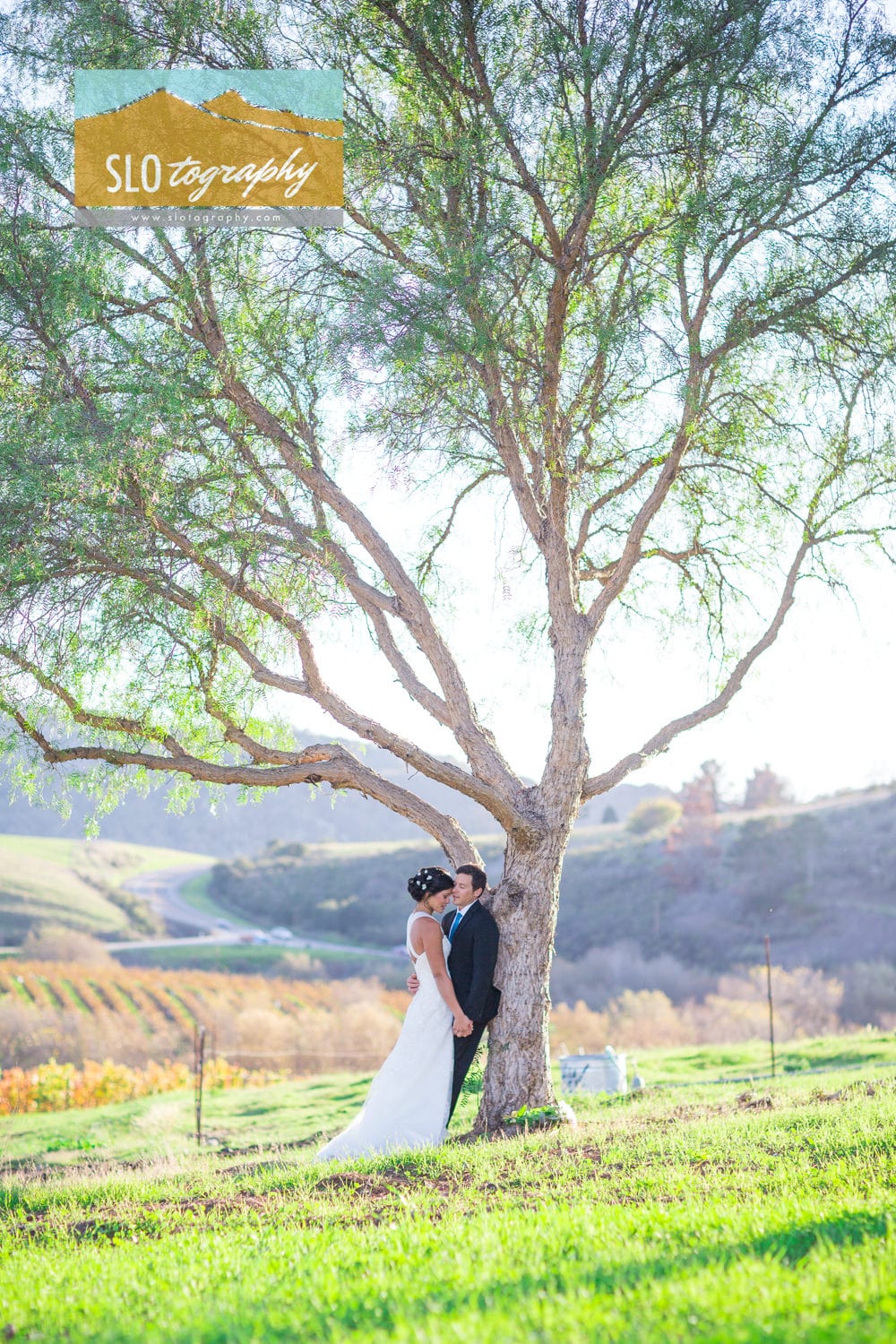 bride and groom underneath tree