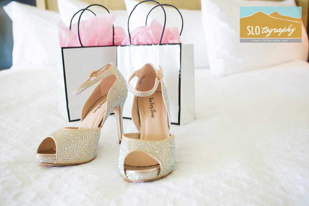 Your Party Shoes Wedding Day