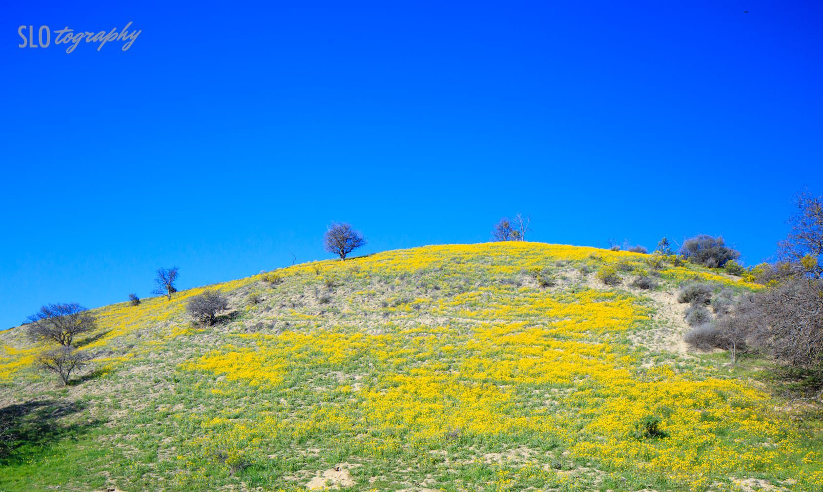 Blue Sky Yellow Hill