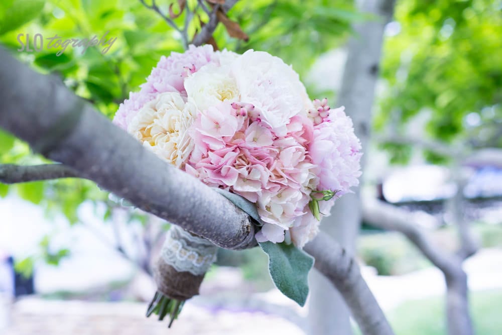 Bridal Bouquet in a Tree