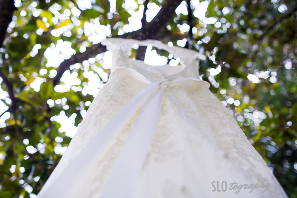 Wedding Dress in Tree