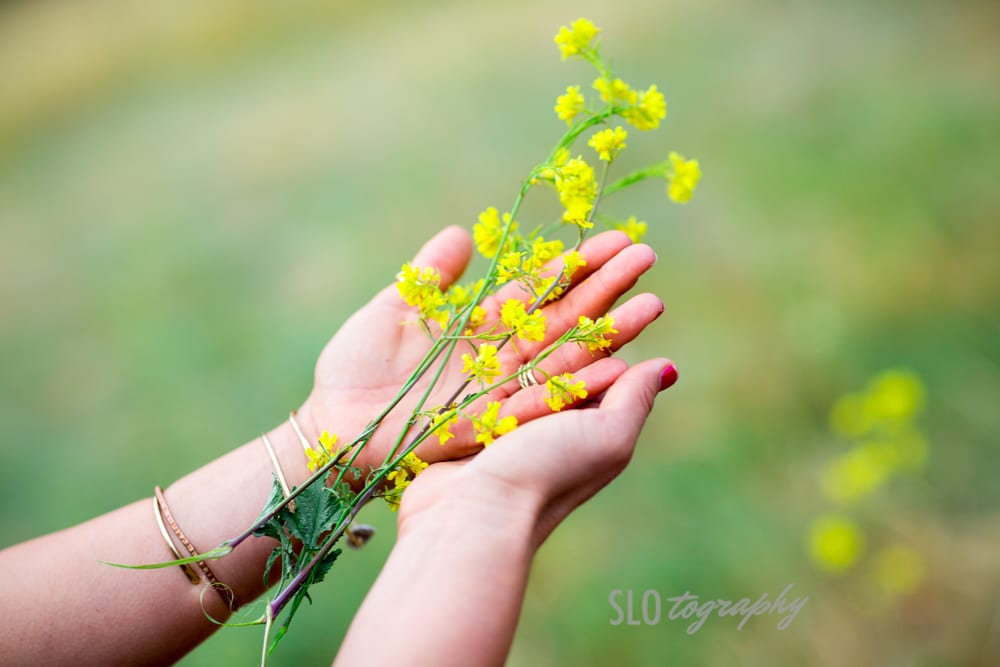 Wildflower Yellow in Hands