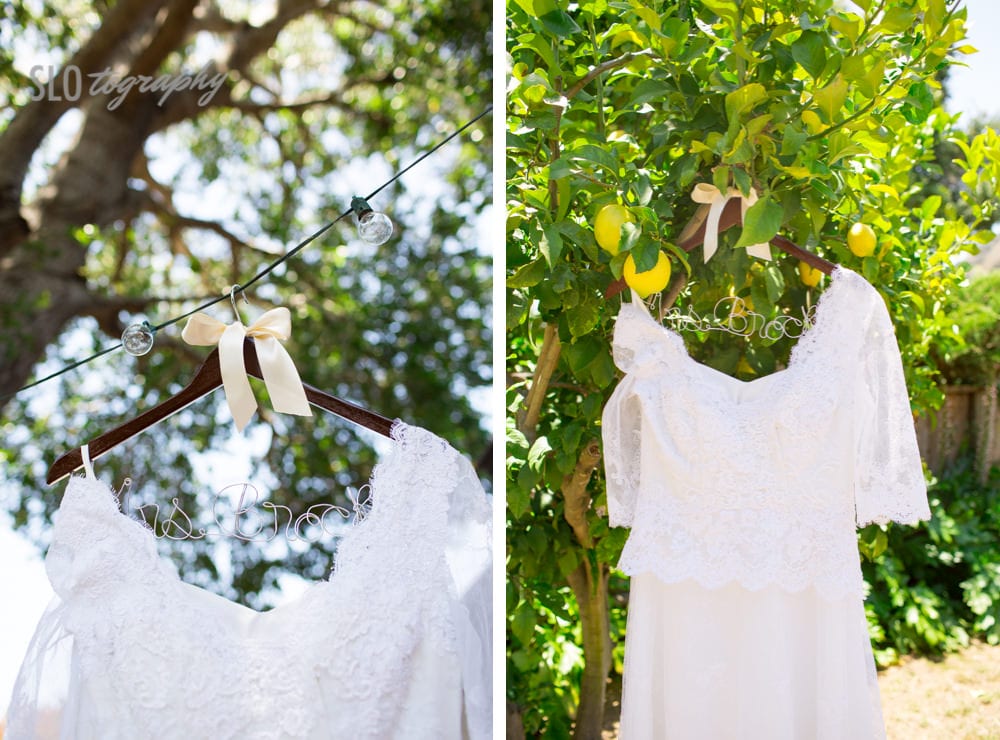 The Dress Hanging in the Tree