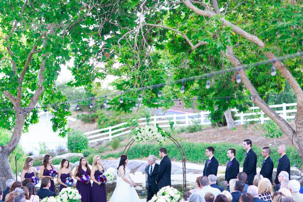 Wedding Party During Ceremony Between Trees