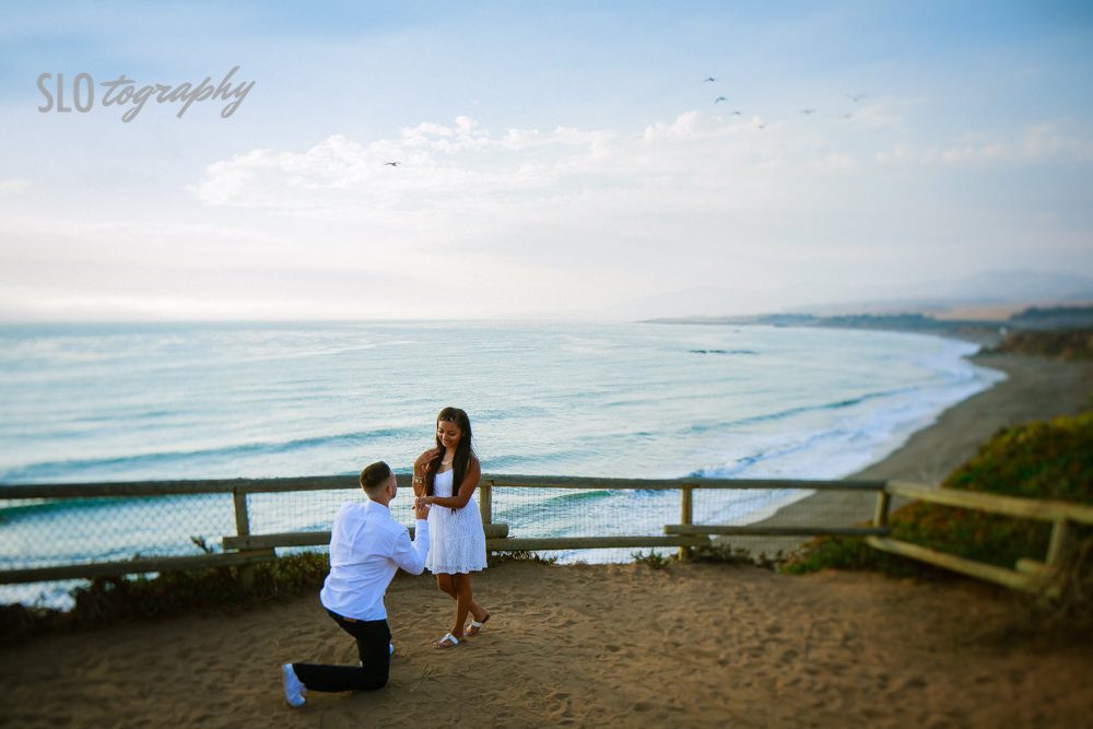 Proposal on the Bluffs