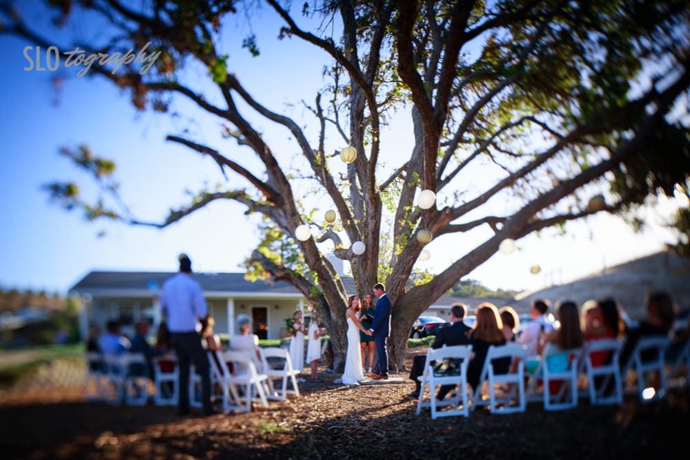 Backyard Oak Tree Ceremony