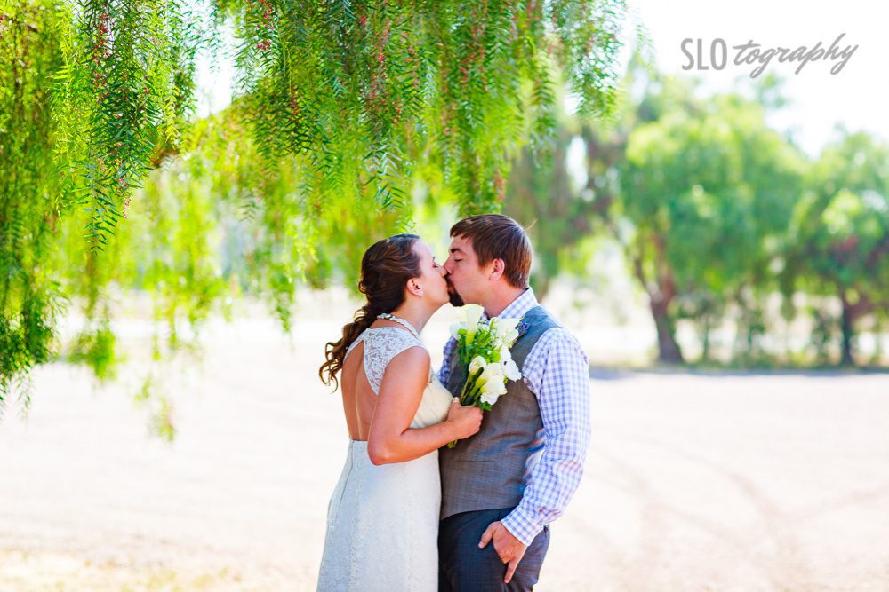 Kiss Under the Willow