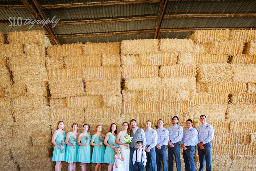 Wedding Party in the Hay