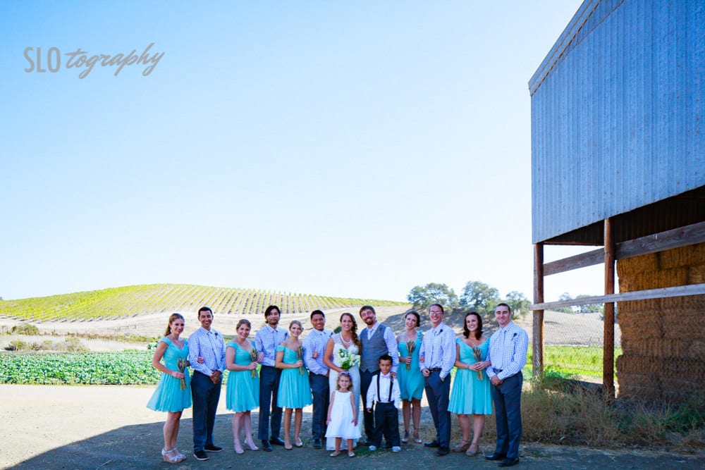 Wedding Party in the Vineyard