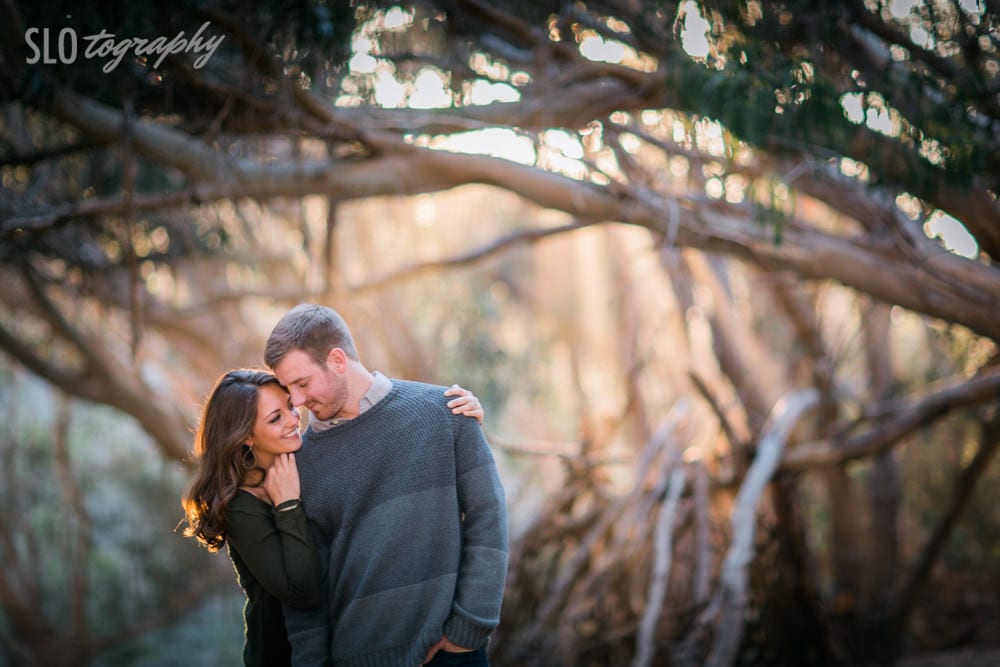 Sweet Engaged Couple in the Eucalyptus Forest