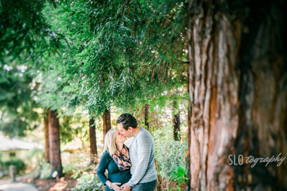 Kiss Under Sequoias