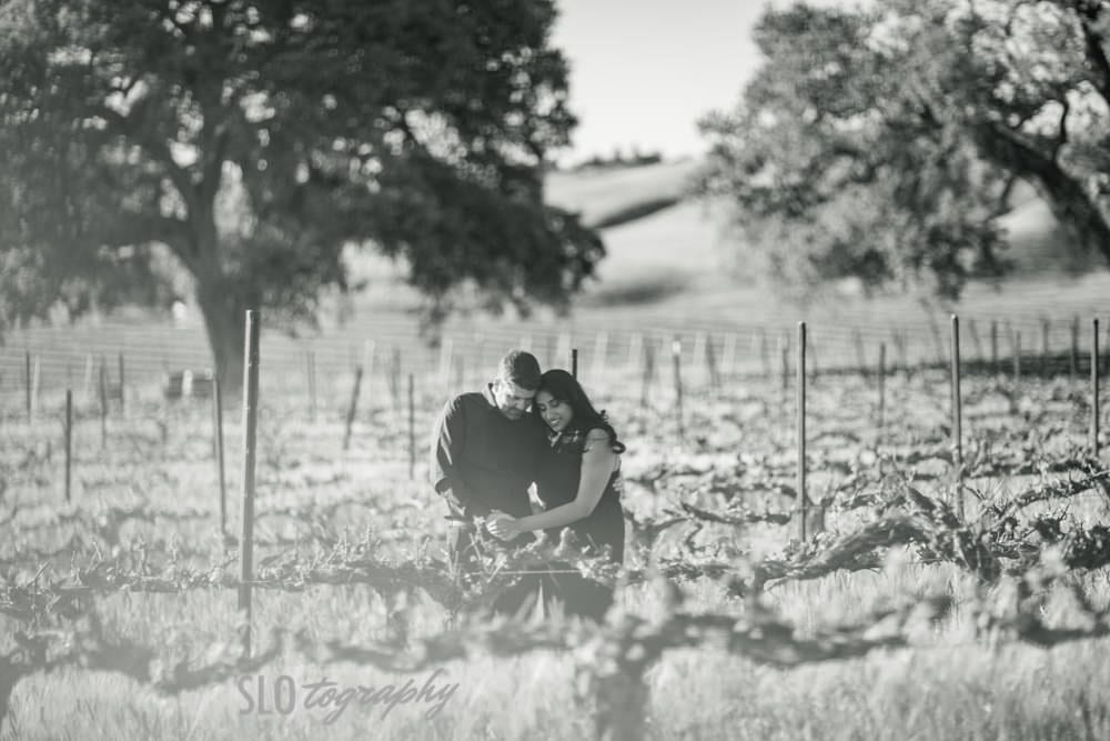 Moment in the Vineyard