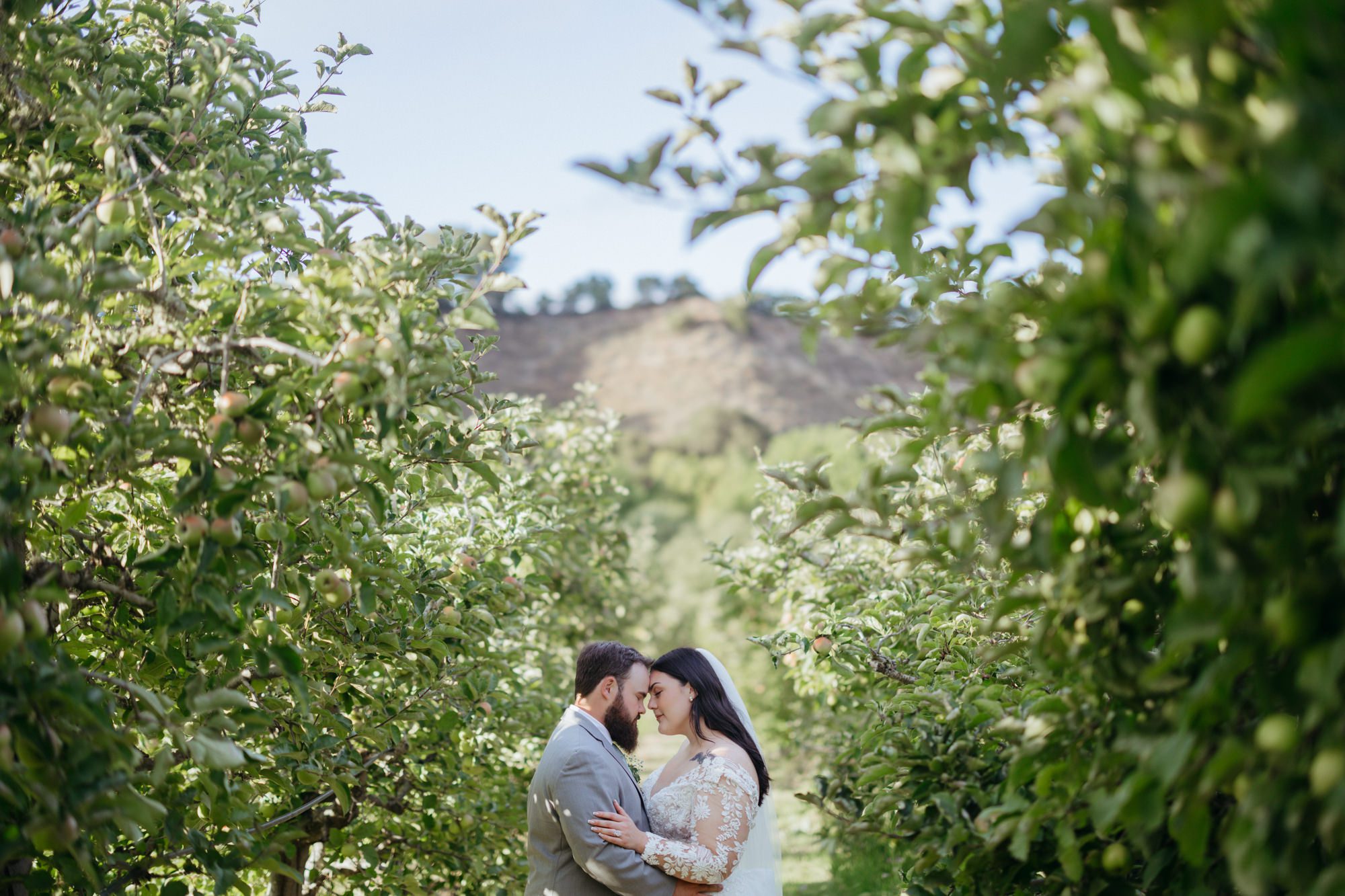 Avila Valley Barn Wedding, Avila Wedding, Farm Wedding, Orchard Wedding