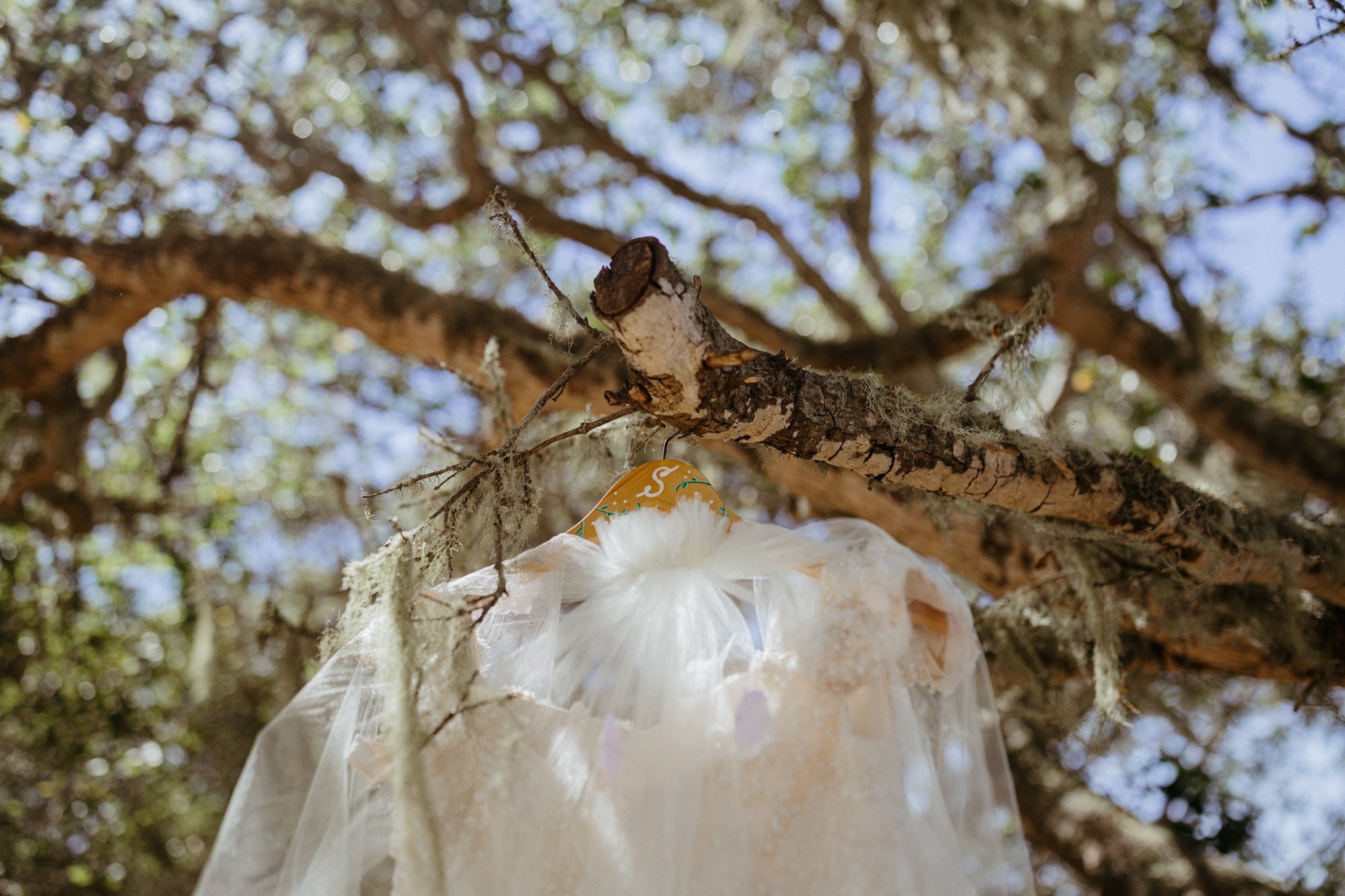 Camp Yeager Wedding, Cambria, CA, Forrest Wedding