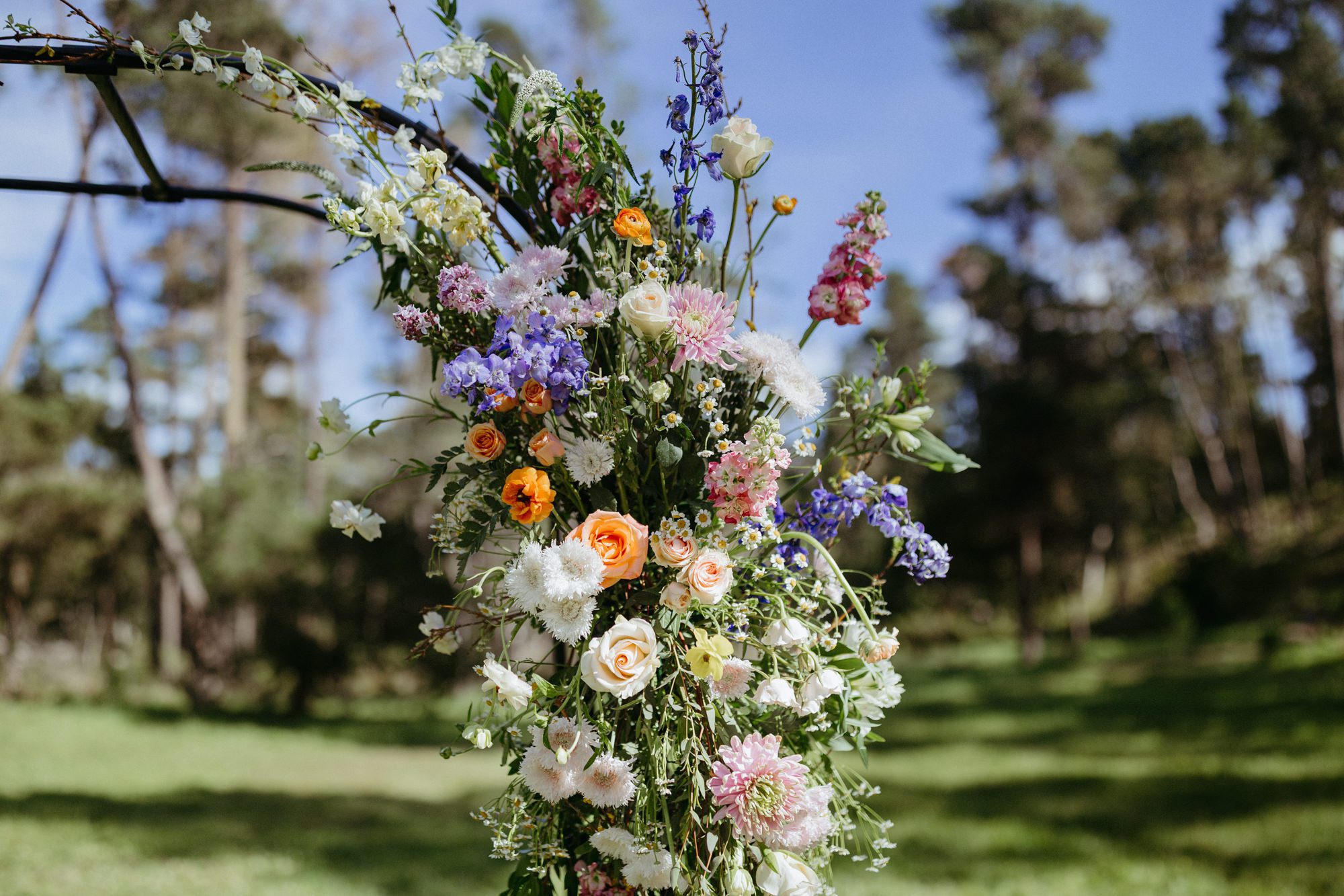 Camp Yeager Wedding, Cambria, CA, Forrest Wedding